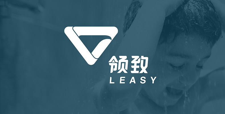 領(lǐng)致Logo設(shè)計